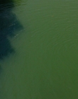 It_mp42617.jpg