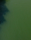 It_mp42618.jpg