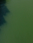 It_mp42620.jpg