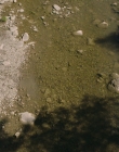 It_mp43987.jpg