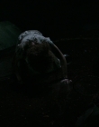 Filename=It_mp46253.jpg
Filesize=405KiB
Dimensions=1920x800
Date added=Feb 04, 2020 It_mp46253.jpg