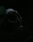 Filename=It_mp46254.jpg
Filesize=412KiB
Dimensions=1920x800
Date added=Feb 04, 2020 It_mp46254.jpg
