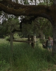 Filename=Sharp_Objects_S01E01_mkv0171.jpg
Filesize=1632KiB
Dimensions=1920x1080
Date added=Feb 04, 2020 Sharp_Objects_S01E01_mkv0171.jpg