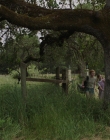 Filename=Sharp_Objects_S01E01_mkv0172.jpg
Filesize=1595KiB
Dimensions=1920x1080
Date added=Feb 04, 2020 Sharp_Objects_S01E01_mkv0172.jpg
