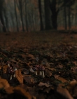 Filename=Gretel_and_Hansel_mp41142.jpg
Filesize=780KiB
Dimensions=1920x1040
Date added=Apr 10, 2020 Gretel_and_Hansel_mp41142.jpg