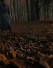 Filename=Gretel_and_Hansel_mp41143.jpg
Filesize=786KiB
Dimensions=1920x1040
Date added=Apr 10, 2020 Gretel_and_Hansel_mp41143.jpg