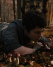 Filename=Gretel_and_Hansel_mp41202.jpg
Filesize=825KiB
Dimensions=1920x1040
Date added=Apr 10, 2020 Gretel_and_Hansel_mp41202.jpg