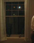 Filename=Uncle_Frank_mp41154.jpg
Filesize=705KiB
Dimensions=1920x800
Date added=Jan 11, 2021 Uncle_Frank_mp41154.jpg