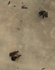 Filename=Dungeons_and_Dragons_Honor_Among_Thieves_mkv7046.jpg
Filesize=812KiB
Dimensions=1914x798
Date added=May 03, 2023 Dungeons_and_Dragons_Honor_Among_Thieves_mkv7046.jpg