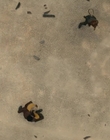 Filename=Dungeons_and_Dragons_Honor_Among_Thieves_mkv7047.jpg
Filesize=801KiB
Dimensions=1914x798
Date added=May 03, 2023 Dungeons_and_Dragons_Honor_Among_Thieves_mkv7047.jpg
