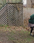 Filename=The_Adults_mkv1224.jpg
Filesize=1503KiB
Dimensions=1920x1036
Date added=Aug 12, 2023 The_Adults_mkv1224.jpg