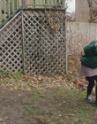 Filename=The_Adults_mkv1225.jpg
Filesize=1559KiB
Dimensions=1920x1036
Date added=Aug 12, 2023 The_Adults_mkv1225.jpg