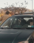The_Adults_mkv2925.jpg