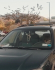 The_Adults_mkv2926.jpg
