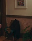 Filename=The_Adults_mkv4857.jpg
Filesize=459KiB
Dimensions=1920x1036
Date added=Aug 12, 2023 The_Adults_mkv4857.jpg