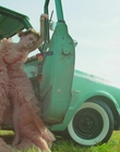 Filename=2020-11-10_-_Sophia_Lillis_x_LOfficiel_Fashion_Book_-_Australia_mp42163.jpg
Filesize=790KiB
Dimensions=1920x1080
Date added=Jul 22, 2022 2020-11-10_-_Sophia_Lillis_x_LOfficiel_Fashion_Book_-_Australia_mp42163.jpg